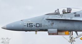 FA-18 Espagnol 0006  LERX NET.jpg